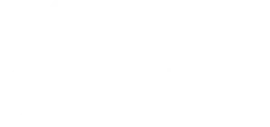 Insurance Canopy